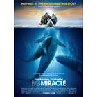 Big Miracle (DVD)