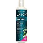 Jason Natural Cosmetics Tea Tree Scalp Normalizing Shampoo 517ml