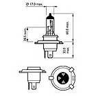 Philips Halogenlampa COLORVISION PURPLE 12V H4 60/55W X2