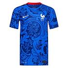 Nike Frankrike Hjemmebanetrøje Women's EURO 2022 Vapor Barn kids CZ0355-439