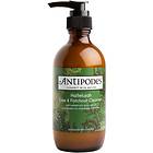 Antipodes Certified Organic Hallelujah Lime & Patchouli Cleanser 200ml
