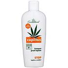 Cannaderm Capillus Anti-Dandruff Shampoo 150ml