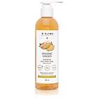 T-Lab Organics Organic Ginger Anti Hair Loss Shampoo 250ml