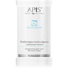 Apis Natural Cosmetics Oxy O2 Ter Syregivande mask för trött hud 20g female