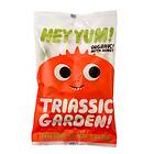 Garden Hey Yum! Triassic Godispåse 100g