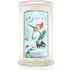 Kringle Candle Snowbird doftljus 624g unisex