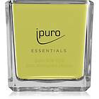 Ipuro Essentials Lime Light doftljus 125g unisex