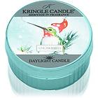 Kringle Candle Snowbird värmeljus 42g