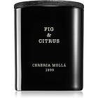 Boutique Cereria Mollá Fig & Citrus doftljus 230g unisex