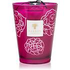 Baobab Collectible Roses Burgundy scented Candle 24 cm unisex