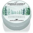 Kringle Candle Winter Evergreen värmeljus 42g