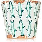 Wax Design Fish Jade Seaweed scented Candle I. 14x12.5 cm unisex