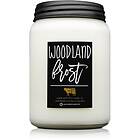 Milkhouse Candle Co. Farmhouse Woodland Frost scented Candle I. 737g