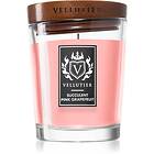 Vellutier Succulent Pink Grapefruit scented Candle 225g