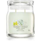 Yankee Candle Midnight Jasmine scented Candle I. Signature 368g unisex