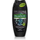 Palmolive Men Refreshing Kroppstvätt för män 2-i-1 250ml male