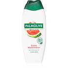 Palmolive Smoothies Exotic Watermelon Duschgel sommar 500ml unisex