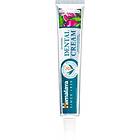 Himalaya Herbals Oral Care Ayurvedic Dental Cream Tandkräm örter med fluor färgblandning 100g female