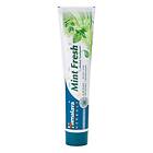 Himalaya Herbals Oral Care Mint Fresh Tandkräm För frisk andedräkt 75ml female