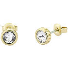 Ted Baker Sinaa Crystal stiftörhängen TBJ1084-02-02