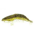 Molix Shrimp 6,35 cm, Inkl: WT Jig Head 4g Marron Glacé
