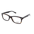 Ray-Ban RX5228 2012