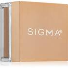 Sigma Beauty Soft Focus Setting Powder Mattifierande löspuder Skugga Cinnamon 10g female