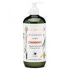 Rapsodine Handdisk 750ml