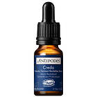 Antipodes Credo Probiotic Serum Mini (10ml)