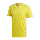 Adidas Entrada 18 Graphic Jersey (Herr)