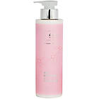 Re-Born Hairsolution Smoothing Repair Conditioner (500ml)