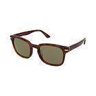 Serengeti Ethan SS575006