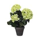 Konstväxt MICA Hortensia 40cm lime