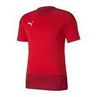 Puma teamGOAL 23 T-Shirt (Dam)