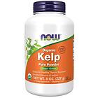 Now Foods Kelp Jod Pulver 227g