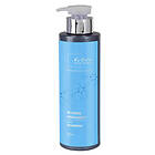 Re-Born Hairsolution Blonde Highlight Shampoo (500ml)