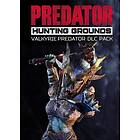 Predator: Hunting Grounds Valkyrie Predator DLC Pack (DLC) (PC)