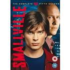 Smallville - Season 5 (DVD)