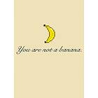 You Are Not A Banana (PC)
