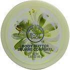 The Body Shop Softening Body Butter 50ml