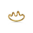 Maanesten Sonar ring 53 Eurosize