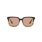 Oliver Peoples Parcell Espresso