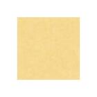 Caselio Beton 2 Uni Jaune Aurore BTO101482200