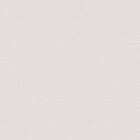 Caselio Chevron Uni Metallise Argent CVR102239190