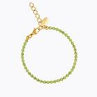 Caroline Svedbom Siri Armband/ Peridot (Guld)