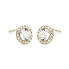 Lily and Rose Stella Örhängen Crystal (Guld) 65022