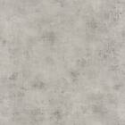 Caselio Plain Grey Light Taupe TEL69879420