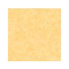 Caselio Patine 2 Uni Jaune Moyen PAE100222679