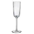 Neo NUDE Champagneglas, set med två glas 17,5 cl