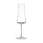 STEM NUDE Zero ION Champagneglass 30 cl